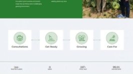 WordPress Developer in Bangladesh - portfolio