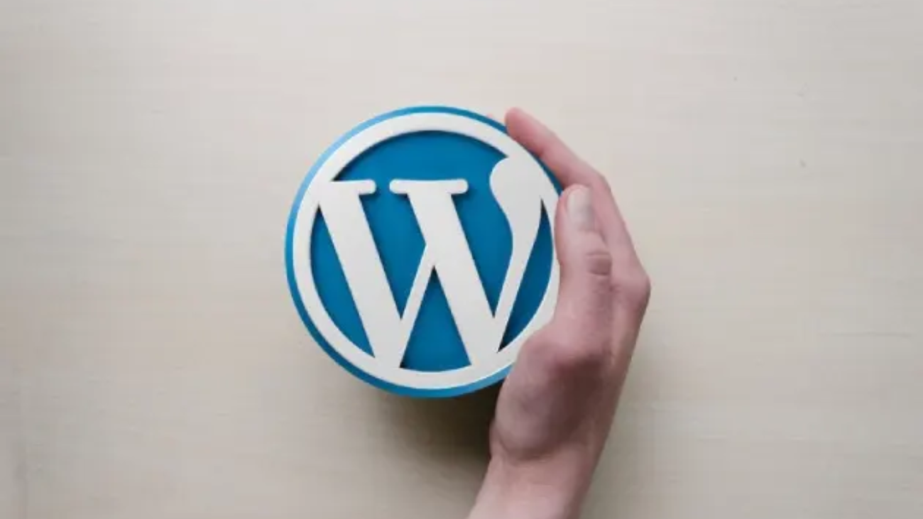 WordPress Developer in Bangladesh