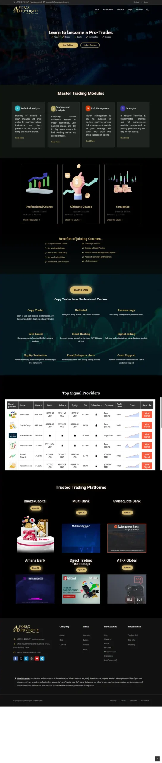 WordPress Developer in Bangladesh - portfolio